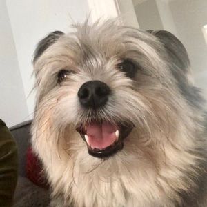 Meet your Posher, Dale